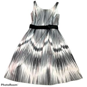 Adrianna Papell Sleeveless Dress in 6